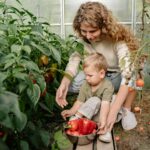 A mother and her child are picking fresh peppers in a sunny greenhouse, enjoying gardening together.